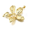 Brass Pendants KK-V002-27G-2
