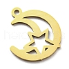 Ion Plating(IP) 316L Surgical Stainless Steel Pendants STAS-M317-29G-2