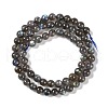 Natural Gemstone Labradorite Round Beads Strands G-E251-33-6mm-01-9
