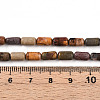 Natural Picasso Jasper/Polychrome Jasper Beads Strands G-N346-01A-05-5