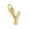 Rack Plating Brass Charms KK-P245-06G-Y-1