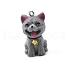 Opaque Resin Pendants CRES-D310-01B-1