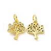 Brass Micro Pave Cubic Zirconia Charms KK-E068-VF063-1