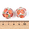 Fruit Round Resin Beads RESI-T059-03H-3