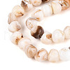 Natural Freshwater Shell Beads Strands SHEL-T020-17-3
