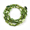 Natural White Shell Beads Strands SHEL-N036-21D-2