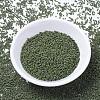 MIYUKI Delica Beads SEED-J020-DB1135-2