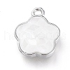 Natural Shell Charms KK-P182-G-2