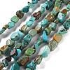 Natural Hubei Turquoise Beads Strands G-P497-01C-51-1