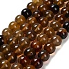 Dyed Natural Agate Beads Strands G-G203-10D-10mm-2