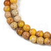 Dyed Natural Regalite/Imperial Jasper/Sea Sediment Jasper Beads Strands G-B124-C04-04-2