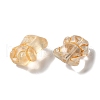 Transparent Lampwork Beads LAMP-P065-06A-06-3