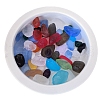 Ocean Series Glass Display Decoration PW-WG80762-01-4