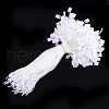 Polyester Cord with Seal Tag CDIS-T001-09K-1
