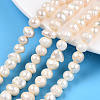 Natural Cultured Freshwater Pearl Beads Strands PEAR-N013-06H-1