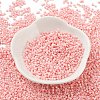 Baking Paint Glass Seed Beads SEED-S042-05B-85-2