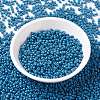 MIYUKI Round Rocailles Beads X-SEED-G008-RR4485-3