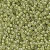 MIYUKI Round Rocailles Beads SEED-X0056-RR0378-3