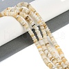 Natural Freshwater Shell Beads Strands BSHE-H109-13B-2