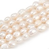 Natural Cultured Freshwater Pearl Beads Strands PEAR-P064-20N-01A-2