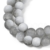 Frosted Crackle Glass Beads Strands X1-GLAA-U001-8mm-M06-2