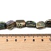 Natural Abalone Shell/Paua Shell Beads Strands BSHE-D300-01A-4
