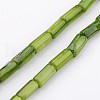 Natural Shell Bead Strands X-BSHE-P016-16-1