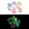 Luminous Acrylic Beads OACR-E041-14-1