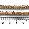 Natural Freshwater Shell Beads Strands X-BSHE-G038-05-5