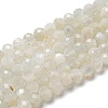 Natural Moonstone Beads Strands G-F736-01-AB-2