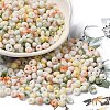 Baking Paint Glass Seed Beads X1-SEED-F006-01A-11-1