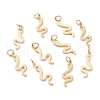 Brass Charms KK-A149-02G-1