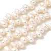 Natural Cultured Freshwater Pearl Beads Strands PEAR-A006-23B-2