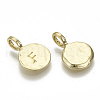 Alloy Pendants PALLOY-N157-004F-NR-2