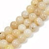 Natural Yellow Opal Beads Strands G-U026-A05-10mm-2