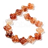 Natural Red Agate Beads Strands G-P520-A06-01-3