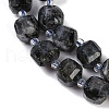 Natural Larvikite Beads Strands G-B125-O05-01-4