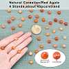 ARRICRAFT Natural Carnelian Beads Strands G-AR0001-43-2