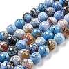 Faceted Natural Fire Crackle Agate Beads Strands G-F447-12mm-N06-2