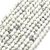 Natural Howlite Beads Strands G-A260-A25-01-2