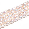 Natural Cultured Freshwater Pearl Beads Strands PEAR-N012-04W-01-5