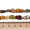 Natural Alashan Agate Beads Strands G-Q060-D19-02-5