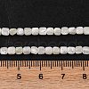 Natural Trochus Shell Beads Strands BSHE-S304-09B-4