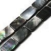 Natural Black Lip Shell Beads Strands BSHE-D300-03-13x18mm-1