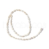 Natural Freshwater Shell Beads Strands SHEL-C003-06-2