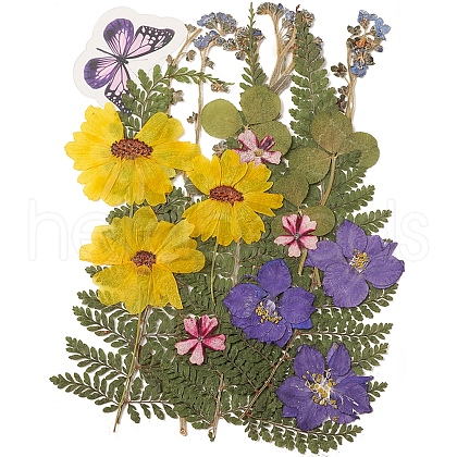 Pressed Dried Flowers DIY-YWC0001-97-1