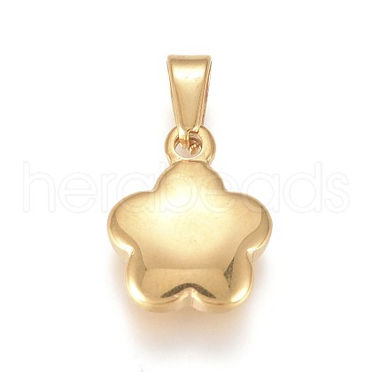 304 Stainless Steel charms X-STAS-I127-005G-01-1