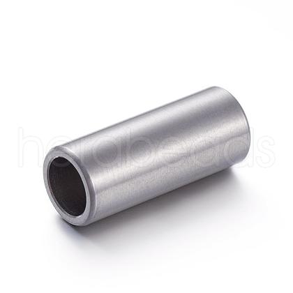 Tarnish Resistant 304 Stainless Steel Magnetic Clasps with Glue-in Ends STAS-L131-01-1