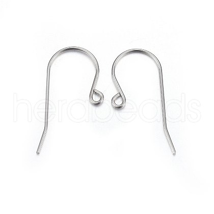 316L Stainless Steel Earring Hooks X-STAS-P210-20P-1