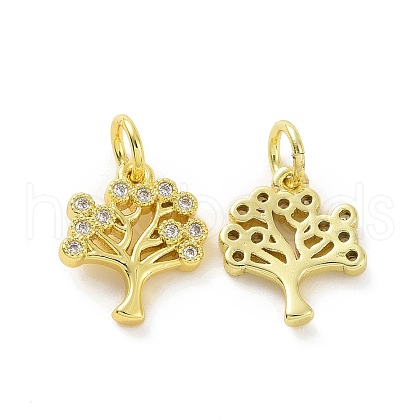 Brass Micro Pave Cubic Zirconia Charms KK-E068-VF063-1